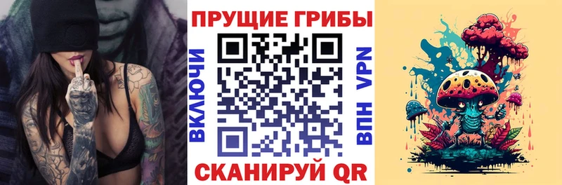 Псилоцибиновые грибы Magic Shrooms Муром